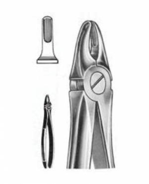 DENTAL FORCEPS ENGLISH PATTERN FIG#107 11-107-000