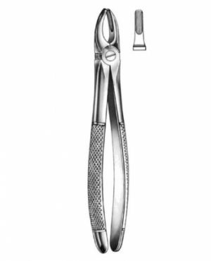 DENTAL FORCEPS ENGLISH PATTERN FIG#1 11-001-001