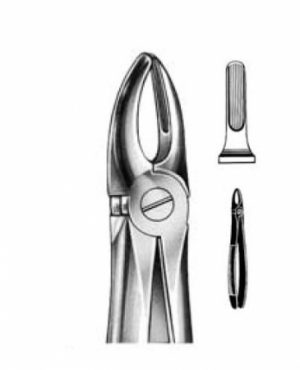 DENTAL FORCEPS ENGLISH PATTERN FIG#2 11-001-002
