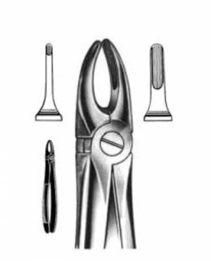 DENTAL FORCEPS ENGLISH PATTERN FIG#3 11-001-003