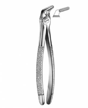 DENTAL FORCEPS ENGLISH PATTERN FIG#8 11-008-000