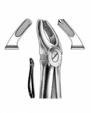 DENTAL FORCEPS ENGLISH PATTERN FIG#13 11-017-000