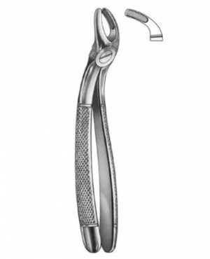 DENTAL FORCEPS ENGLISH PATTERN FIG#19 11-019-000