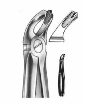 DENTAL FORCEPS ENGLISH PATTERN FIG#20 11-020-000