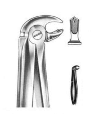 DENTAL FORCEPS ENGLISH PATTERN FIG#22 11-022-000