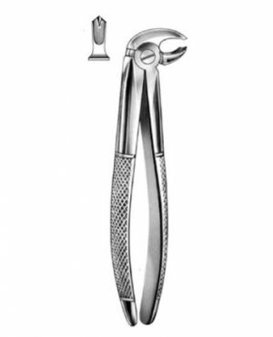DENTAL FORCEPS ENGLISH PATTERN FIG#22G 11-022-002