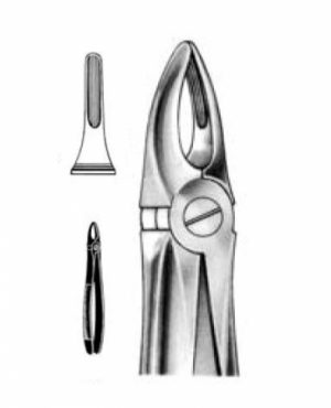 DENTAL FORCEPS ENGLISH PATTERN FIG#29 11-029-000