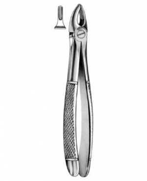 DENTAL FORCEPS ENGLISH PATTERN FIG#29S 11-029-001