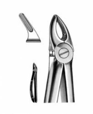 DENTAL FORCEPS ENGLISH PATTERN FIG#30 11-030-000