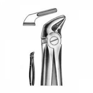 DENTAL FORCEPS ENGLISH PATTERN FIG#31 11-031-000
