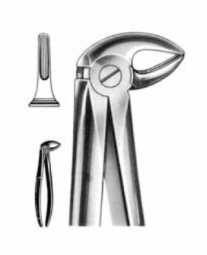 DENTAL FORCEPS ENGLISH PATTERN FIG#33 11-033-000