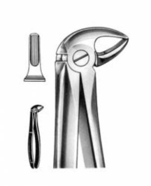 DENTAL FORCEPS ENGLISH PATTERN FIG#33B 11-033-002