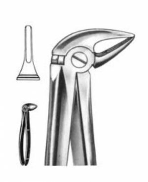 DENTAL FORCEPS ENGLISH PATTERN FIG#33L 11-033-003