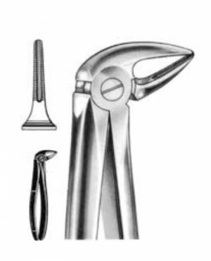 DENTAL FORCEPS ENGLISH PATTERN FIG#33M 11-033-004