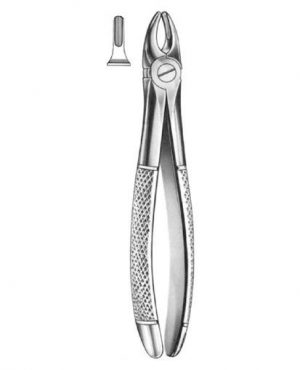 DENTAL FORCEPS ENGLISH PATTERN FIG#37 11-037-000