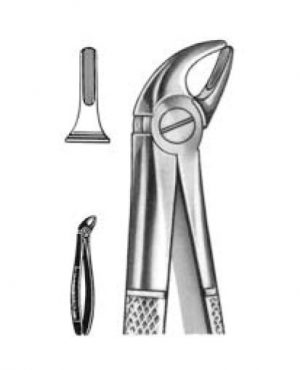 DENTAL FORCEPS ENGLISH PATTERN FIG#38 11-038-000