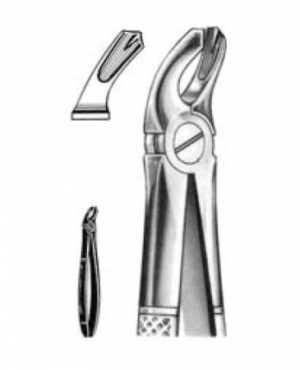 DENTAL FORCEPS ENGLISH PATTERN FIG#40 11-040-000