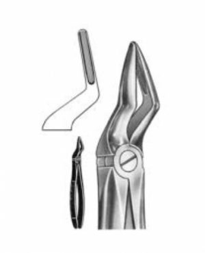 DENTAL FORCEPS ENGLISH PATTERN FIG#51 11-051-000