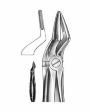 DENTAL FORCEPS ENGLISH PATTERN FIG#51A 11-051-001