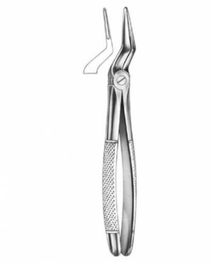DENTAL FORCEPS ENGLISH PATTERN FIG#51L 11-051-003