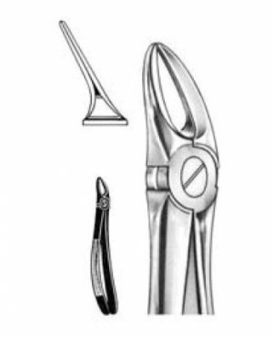 DENTAL FORCEPS ENGLISH PATTERN FIG#55 11-055-000