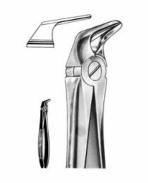 DENTAL FORCEPS ENGLISH PATTERN FIG#56 11-056-000