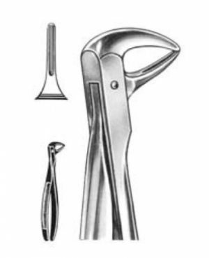 DENTAL FORCEPS ENGLISH PATTERN FIG#74N 11-074-002