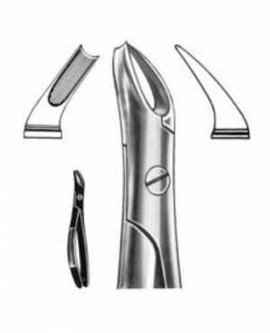 DENTAL FORCEPS ENGLISH PATTERN FIG#89 11-089-000