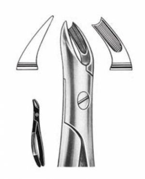 DENTAL FORCEPS ENGLISH PATTERN FIG#90 11-090-000