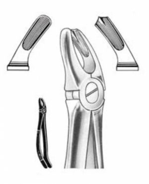 DENTAL FORCEPS ENGLISH PATTERN FIG#94 11-094-000
