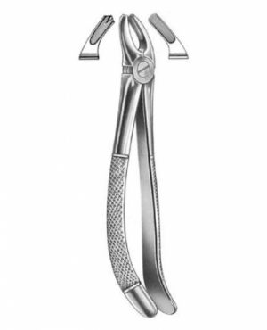 DENTAL FORCEPS ENGLISH PATTERN FIG#95 11-095-000