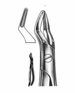 DENTAL FORCEPS ENGLISH PATTERN FIG#101 11-101-000