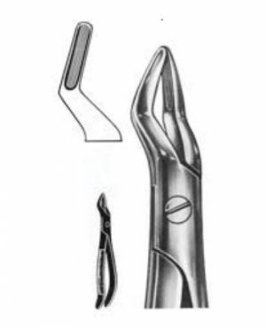 DENTAL FORCEPS ENGLISH PATTERN FIG#101A 11-101-001