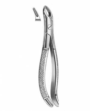DENTAL FORCEPS ENGLISH PATTERN HILL FIG#108 11-108-000