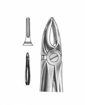 DENTAL FORCEPS ENGLISH PATTERN MARTIN FIG#113 11-113-000