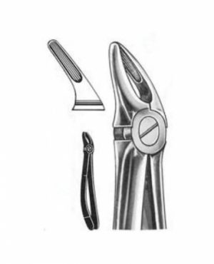 DENTAL FORCEPS ENGLISH PATTERN GUY FIG#13 11-136-000