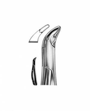 DENTAL FORCEPS AMERICAN PATTERN FIG# 151A 13-151-001