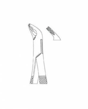 DENTAL FORCEPS AMERICAN PATTERN FIG3151 XAS 13-151-XAS