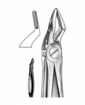 DENTAL FORCEPS ENGLISH PATTERN FIG#51S 11-051-004